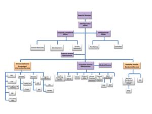 Organizational Structure - Aliviane